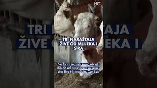 Od vlastitog mlijeka do domaćeg sira: Ribičići pokazuju kako se može opstati