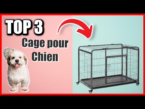 ≡ Cage pour Chien → Meilleurs Prix 2023