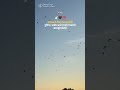 trust are more important in life but some people destroy trust 🥺#sad#shortvideo #trending #youtube#