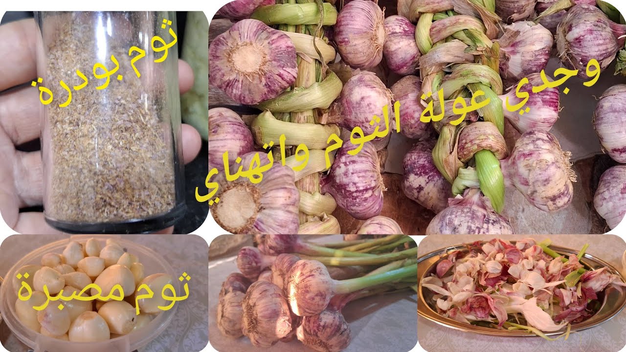 تخزين الثوم🧄 ديري العولة تاع عام ما تخسر ما تفرغ وراح تستغلي القشور والاوراق وتخدمي🧄 ثوم بودرة