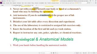 LABORATORY MANUAL Lab Orientation and Safetyالبروفسيور دعلي التميمي اProf Ali Altimimi PHD,MD London LABORATORY MANUAL Lab Orientation and Safetyالبروفسيور دعلي التميمي اProf Ali Altimimi PHD,MD London
