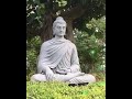Enseñanza de Buda sobre el perdón