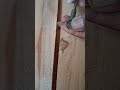 tips and tricks #woodworking #carpenter