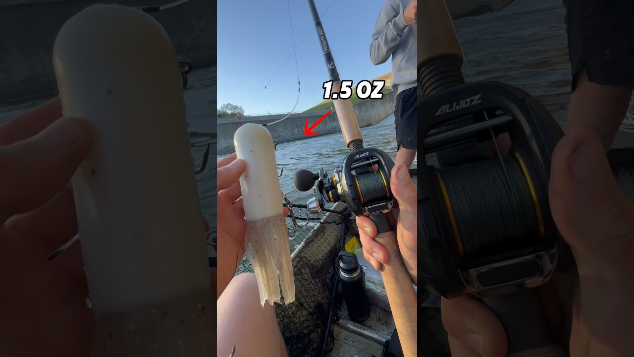 ball bearings for fishing reels Are the Bearings Used In KastKing Reels Sealed for Saltwater Use?
