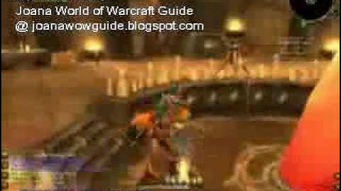 1 - 70 In 5 days 8 hours World Record - WoW Leveling Guide