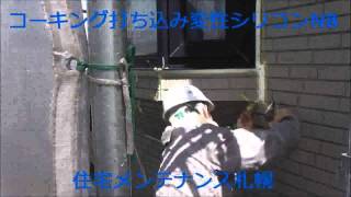 変性シリコン6/11 mpeg4