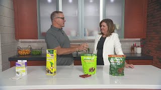 Mr. Fix It with tips to deal with rodents around your home