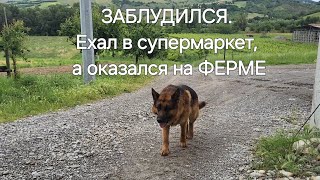 Заблудился. Будте внимательны с НАВИГАЦИЕЙ