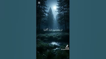 ﴿ الله لطيف بعباده يرزق من يشاء ﴾ سورة الشورى { من أية ١٩ إلى ٢٠ } القارئ علي جابر #قرآن #قران_كريم