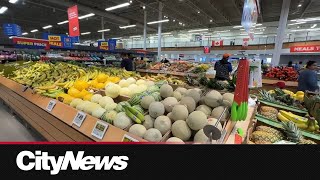 Is grocery relief coming Economist reveals how Mark Carney's govt and policies may affect food pric