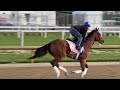 Acorn Stakes - Trainer Brendan Walsh on Pretty Mischievous