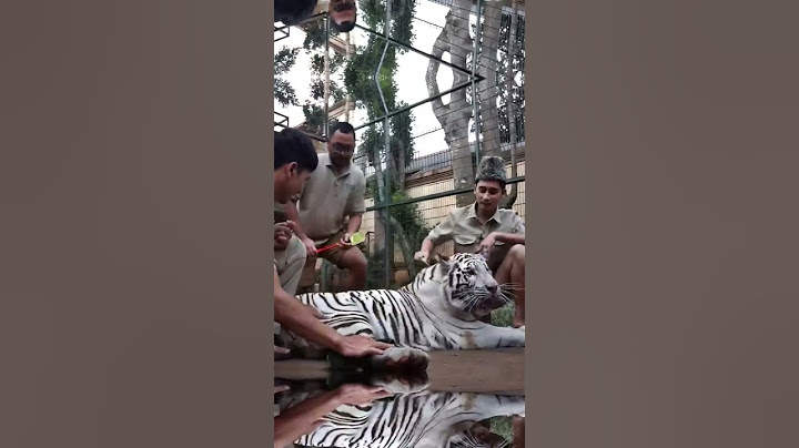 PERHITUNGAN SELEN TEONA DIGABUNG HARUS SANGAT TEPAT😱