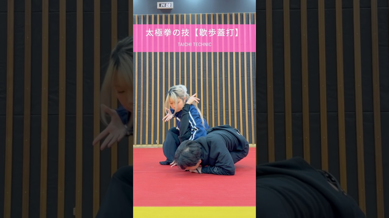 武術太極拳のエグい基礎技 歇歩蓋打 #武術 #武道 #護身術 #実戦 #taichi