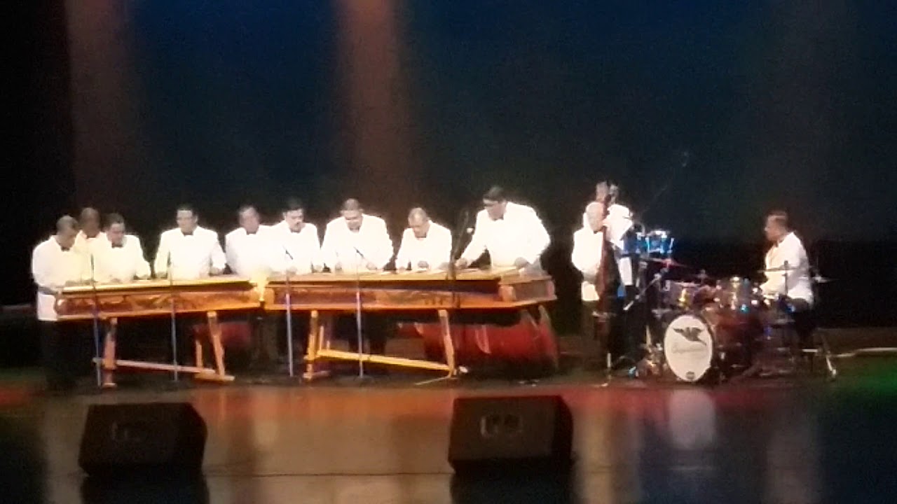 Ruiseñor Verapaz Marimba Chapinlandia en Vivo YouTube