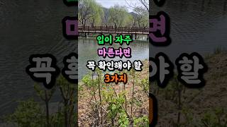 입이 자주 마른다면 꼭 확인해야 할 3가지 #건강 #건강정보 #건강관리