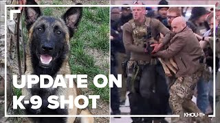 Update on heroic K-9 shot by deputy's killer in Houston