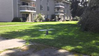 EXI 450 Pro hovering