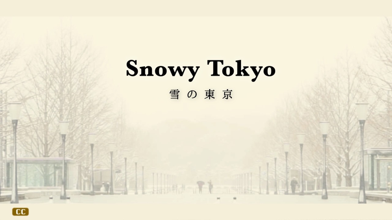 Snowy Tokyo — День, когда город стал белым #32