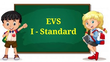 Our Delicious Food Activity Class 1 Evs