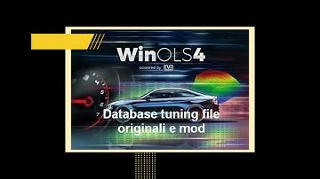Winols Pro Tunning Data cars/trucks 800gb+Damos files Egr dpf immo off - instant download