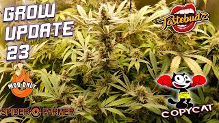 GROW UPDATE 23 - ALL STAGES OF LIFE