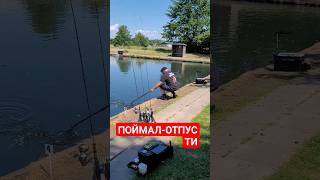 #рекомендации #рек #рыбалка #врек #врекомендации #youtubeshorts #youtuber #fishing #fishingtips