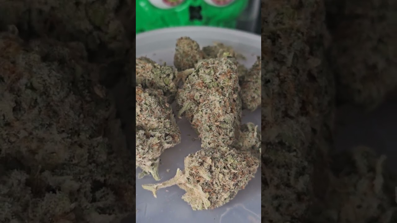 All Nations Mac Doughnut UK Medical Flower Review
