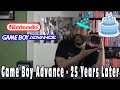 Game Boy Advance - 25 Years Later (History, Stories, & Games) - Adam Koralik