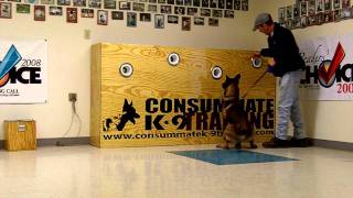 K9 Buster Explosives Detection Training