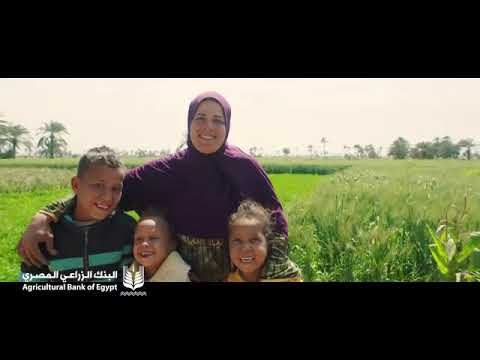 البنك الزراعي المصري أكبر البنوك المتخصصة في تمويل القطاع الزراعي