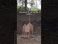 Target Slipping Sound