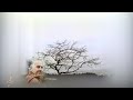 Nashenas ته به تر څو پوري جدا گرځې له ما نه ناشناس Nashenas ته به تر څو پوري جدا گرځې له ما نه ناشناس