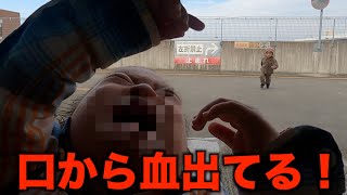 【森ケの日常】娘達と暴走息子を連れてトイザラスへ行きました。