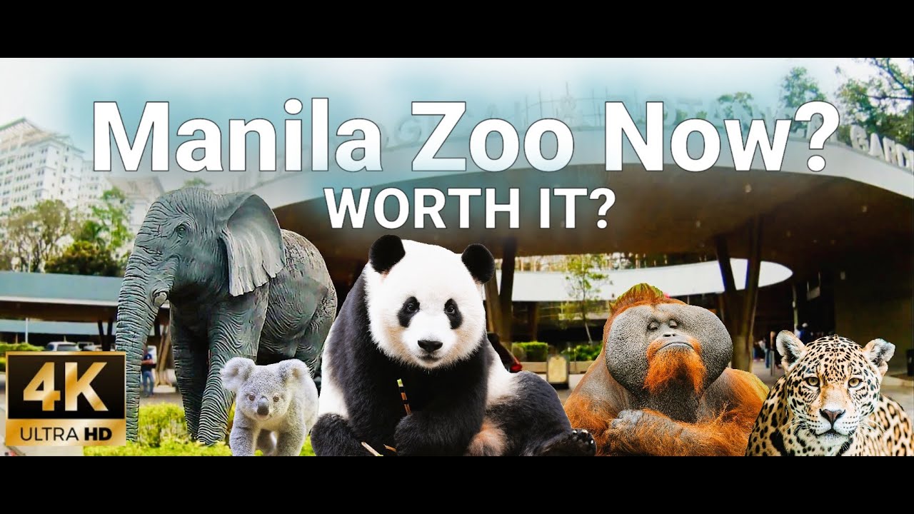 Manila Zoo Now? 🇵🇭