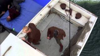 Boardwalk Empire VFX Breakdowns of Season 1