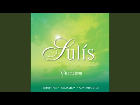 Putar Song For Liz - Sulis