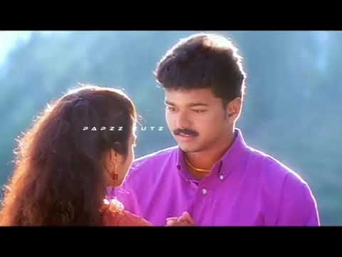 #tvk #vijay #video #songs #thalapathyvijay #reels #shorts #viral #tranding #media #socialmedia