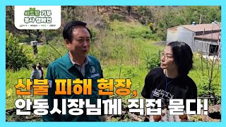 얼마나 탄거죠? 복구하려면 얼마나... 권기창 안동시장님께 직접 묻다!