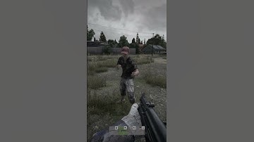 Meeting A GUN EXPERT in Dayz #dayz #dayzclips #dayzstandalone