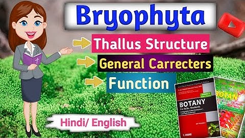 Characteristic of Bryophytes 🦠 ||BSC 1st year, 2nd semester || Botony(Unit -1)||Explain in Hindi