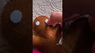 Lets Make A Gingerbread Plushie