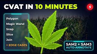 CVAT in 10 Minutes: Polygon, Magic Wand, Snap & Edge Cases, SAM2 + SAM3