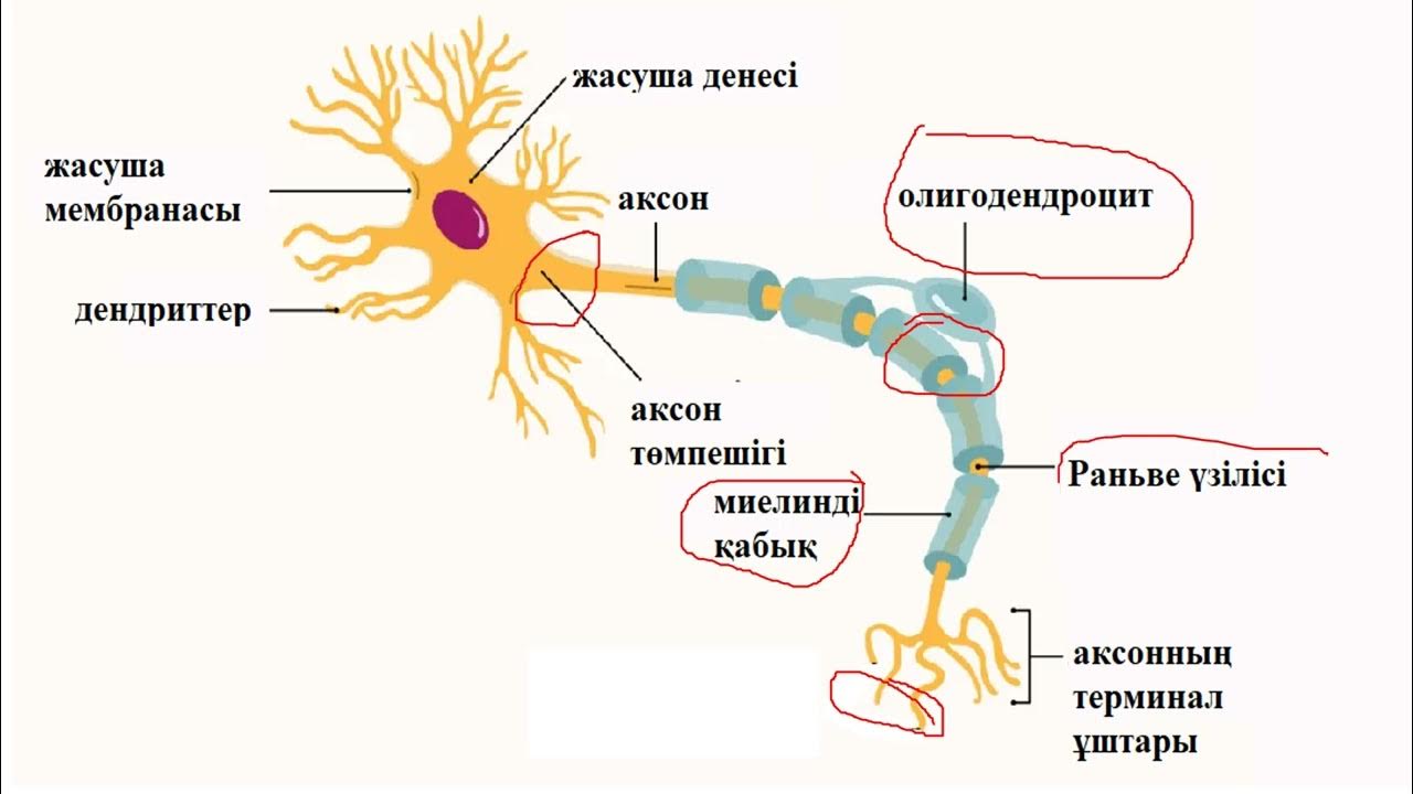 Салқын секс порно онлайн