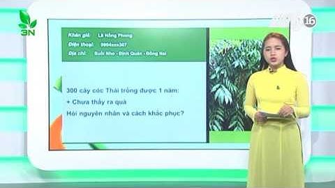 Cách thức để cây cóc ra nhiều hoa và quả