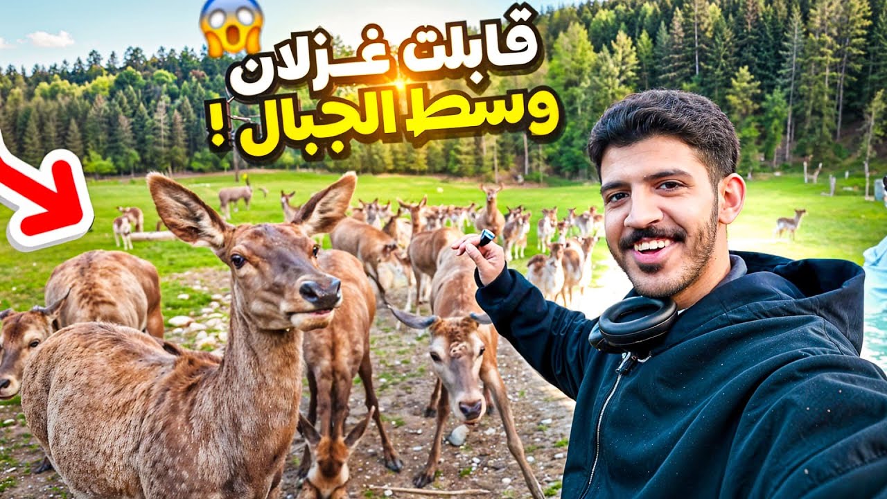 جربت لحم الغزال لأول مره في حياتي 🦌🇦🇹
