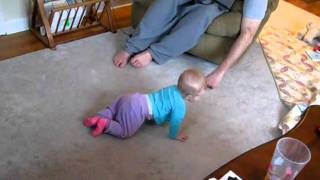 video crawling.avi