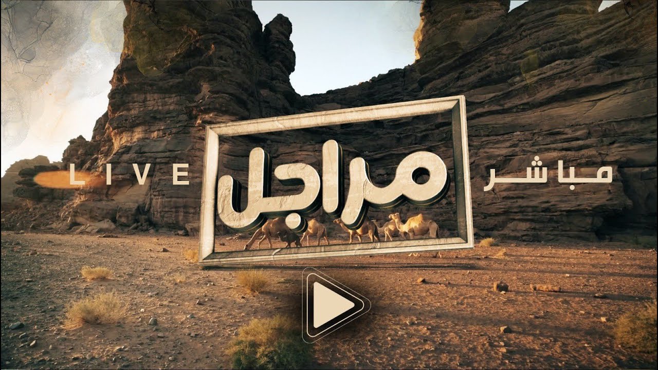 البث المباشر برنامج 