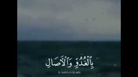 حالات واتس اب دينية// القارئ عبد الرحمن مسعد// حالات واتس قران كريم  Quran cases // Islamic clips