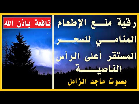 رقية منع الإطعام المنامي للسحر المستقر أعلى الرأس الناصية بصوت ماجد الزامل نافعة ب إذن اللــ ہ رقية منع الإطعام المنامي للسحر المستقر أعلى الرأس الناصية بصوت ماجد الزامل نافعة ب إذن اللــ ہ
