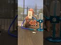Demonstrating Gravity hookah with both flower and concentrates